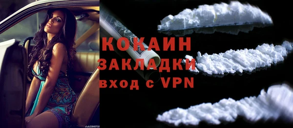 стаф Арсеньев