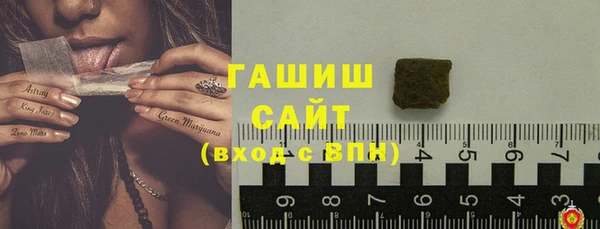 стаф Арсеньев