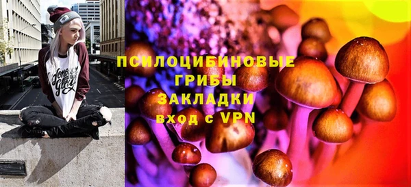 метадон Аркадак