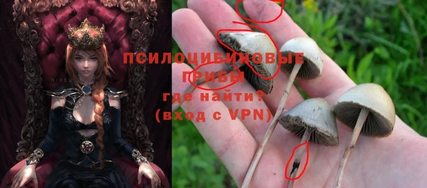 метадон Аркадак