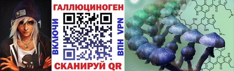 дарк нет состав  купить наркоту  Чернушка  Галлюциногенные грибы мицелий 